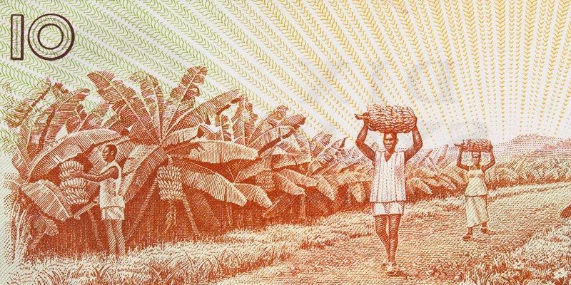 African-farmers-guinean-banknote-HEADER-shut.max-800x600